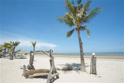 Strand mit Kokospalmen